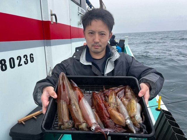 マルイカ(ケンサキイカ)・ヤリイカ