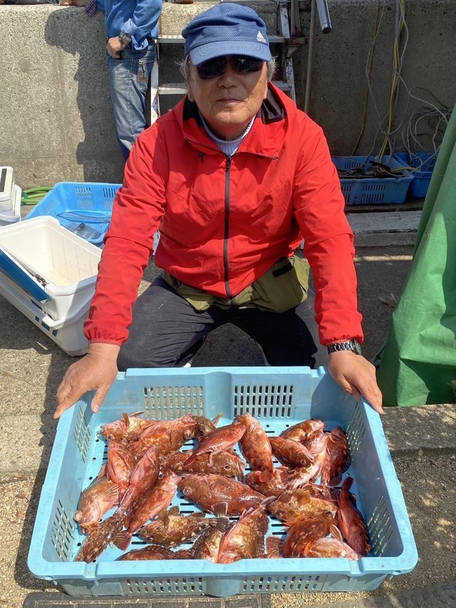 ガシラ(カサゴ)