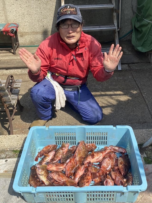 ガシラ(カサゴ)