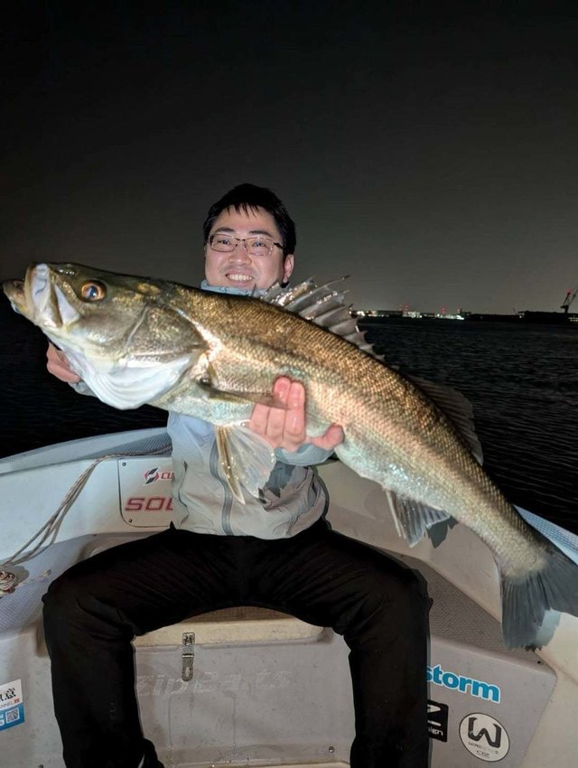 シーバス(スズキ)