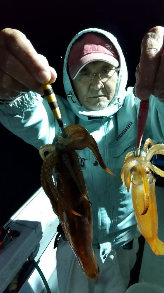 ムギイカ(スルメイカ)