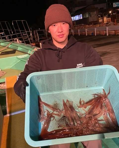 ムギイカ(スルメイカ)