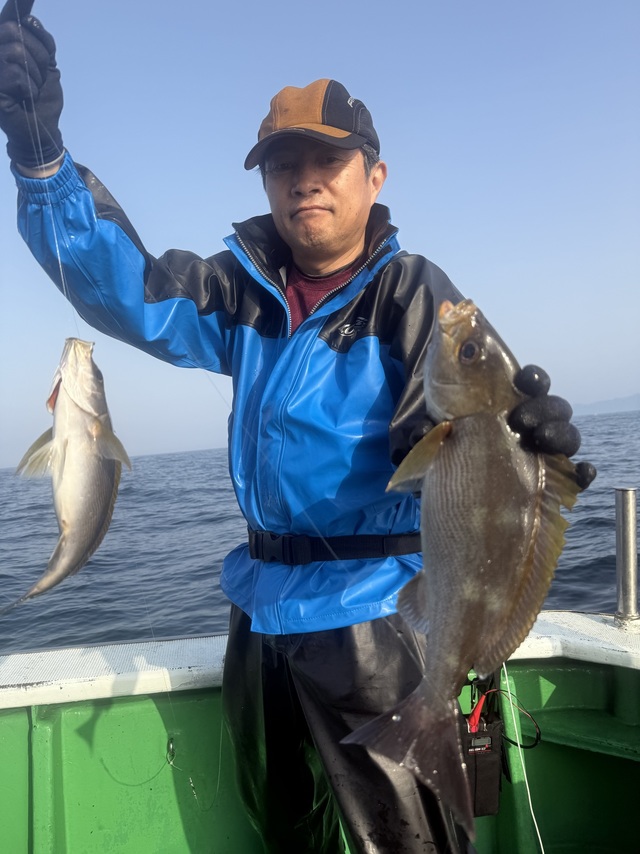 イサギ(イサキ)