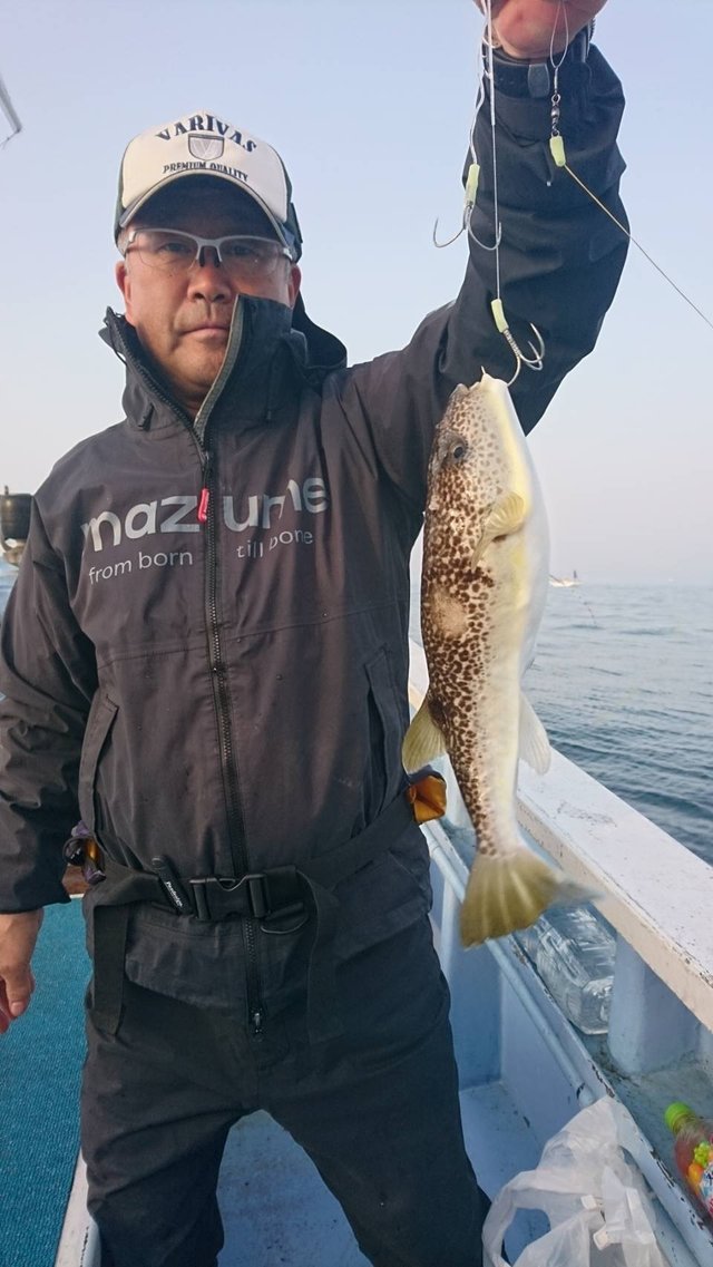 ショウサイフグ