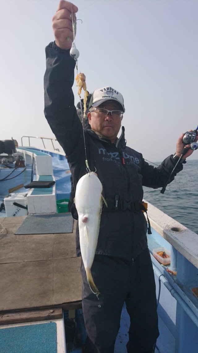 ショウサイフグ