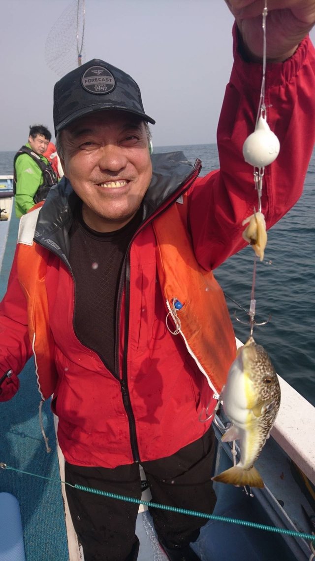 ショウサイフグ