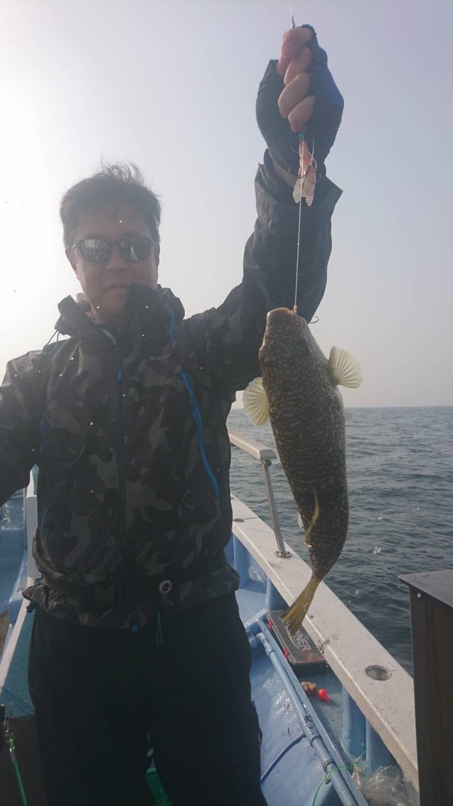 ショウサイフグ