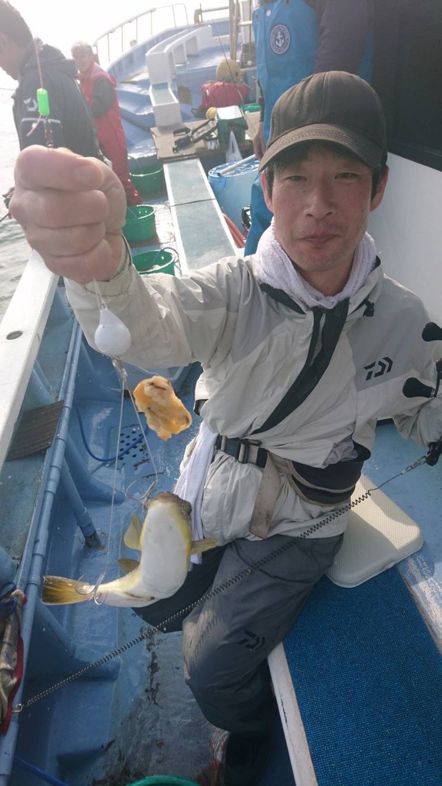 ショウサイフグ