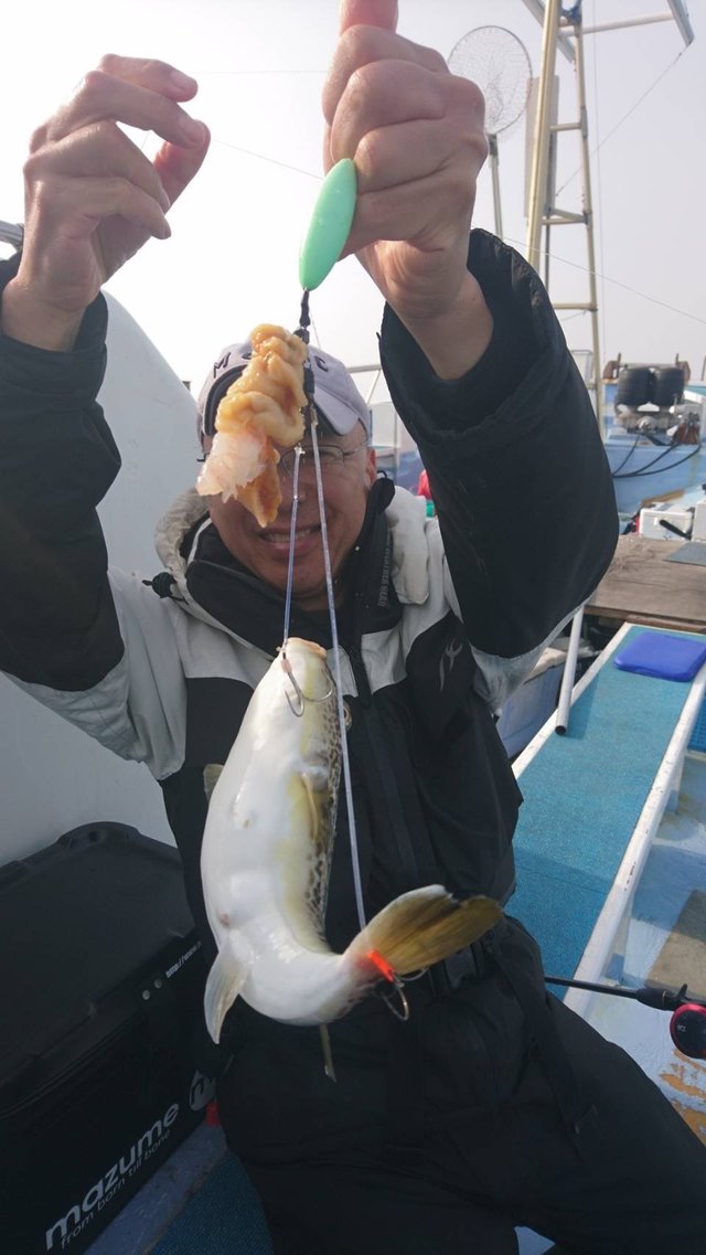 ショウサイフグ