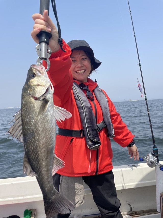 シーバス(スズキ)