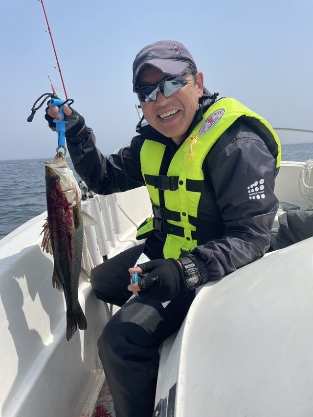 シーバス(スズキ)