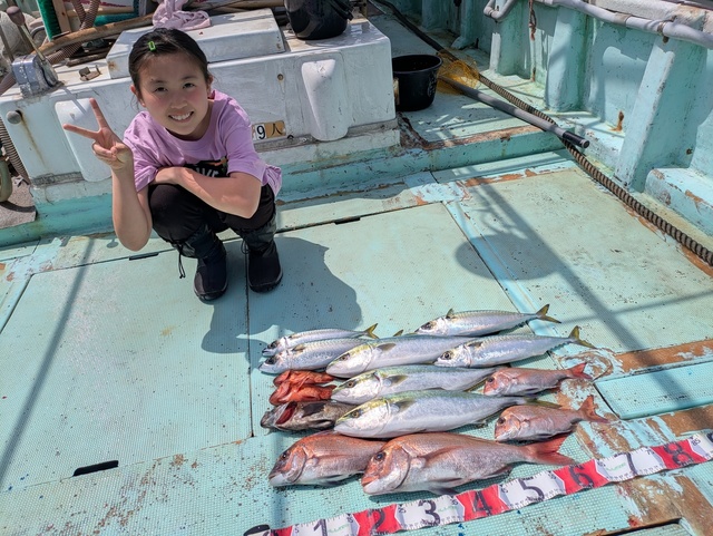 タイ(マダイ)・ハマチ(ブリ)・マサバ