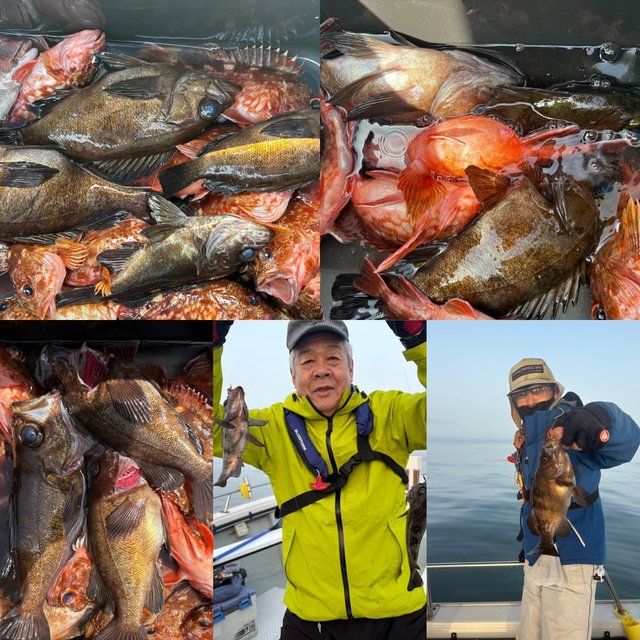 ガシラ(カサゴ)・メバル