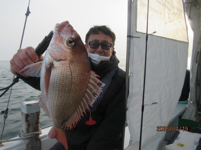 チャリコ(マダイ)