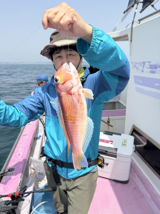 アマダイ(アカアマダイ)