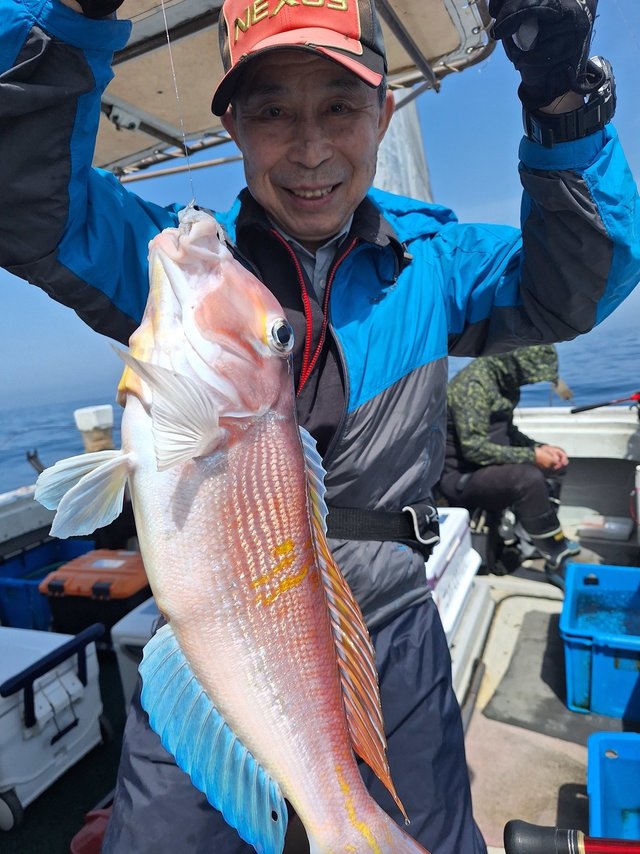 アマダイ(アカアマダイ)