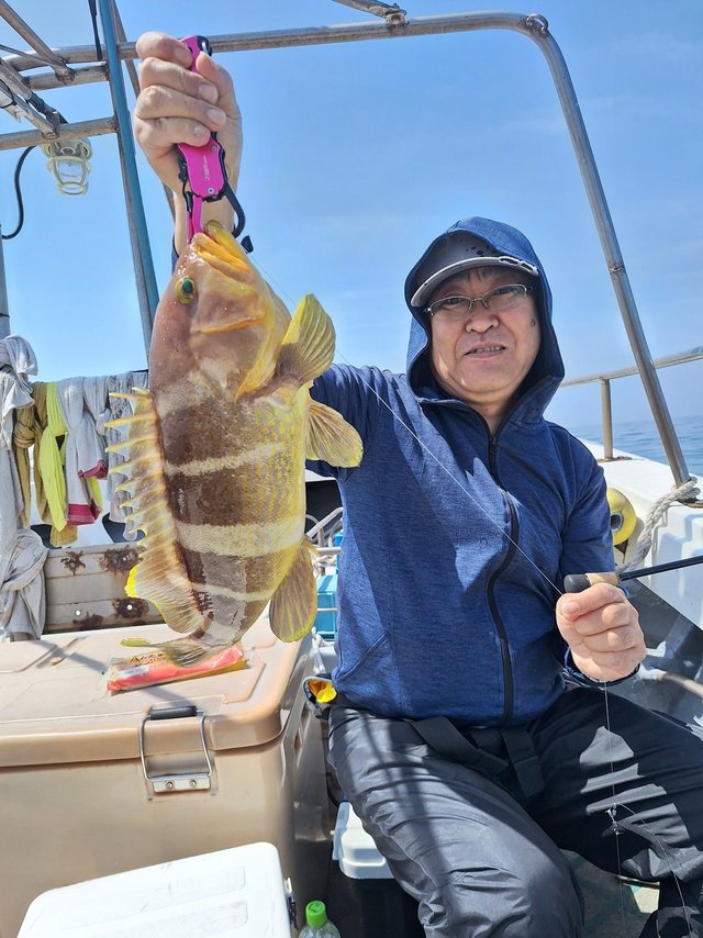 アオナ(アオハタ)