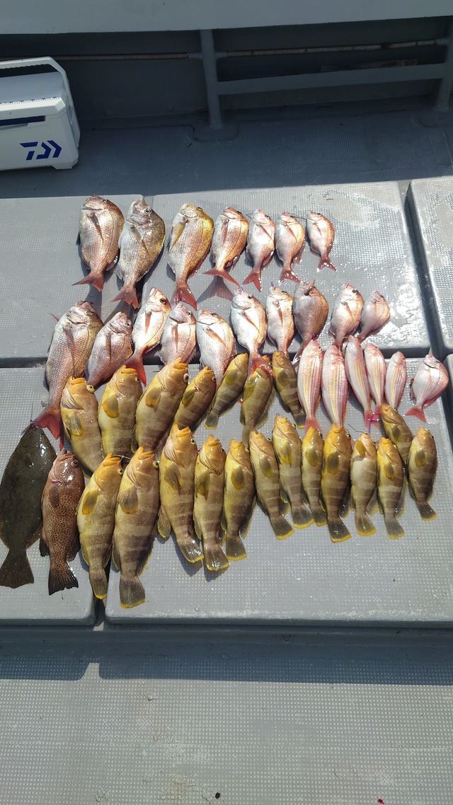 マダイ・アオナ(アオハタ)・ヒラメ