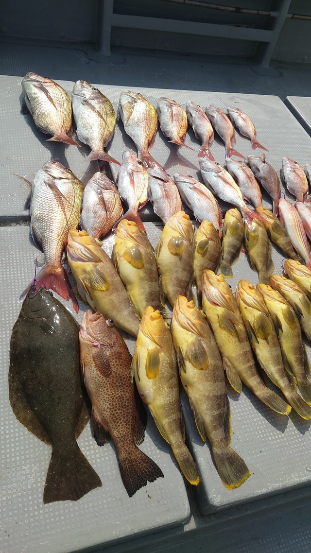 マダイ・アオナ(アオハタ)・ヒラメ