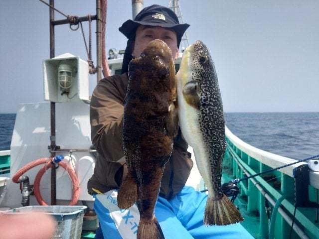 ヒガンフグ・ショウサイフグ