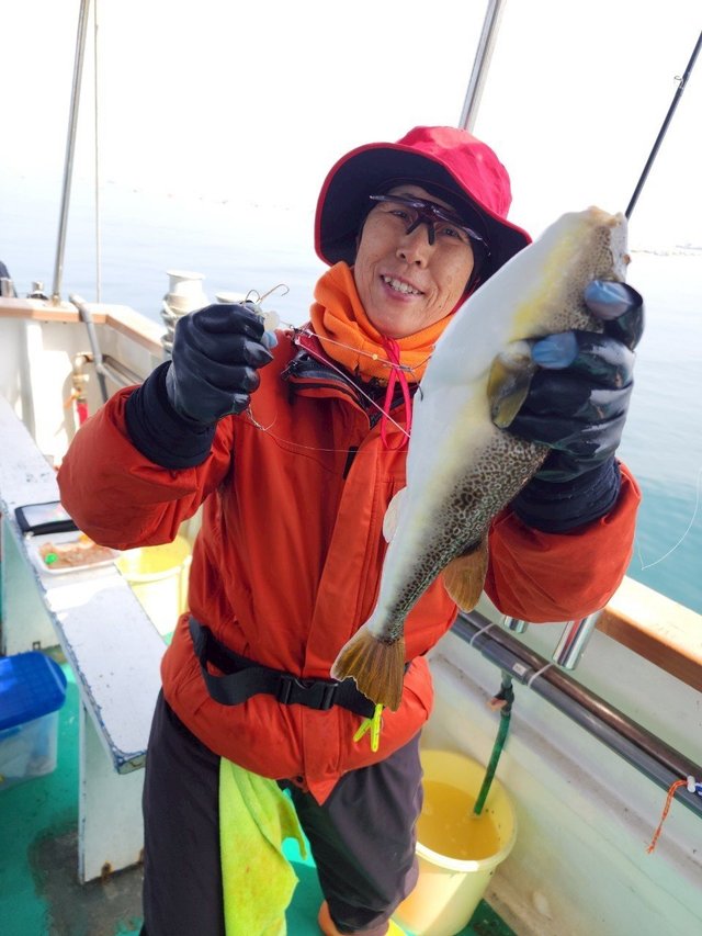 フグ(ショウサイフグ)