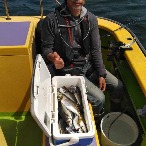 アジ(マアジ)・サバ(ゴマサバ)