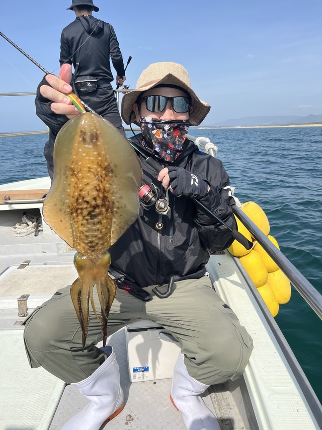 イカ(アオリイカ)