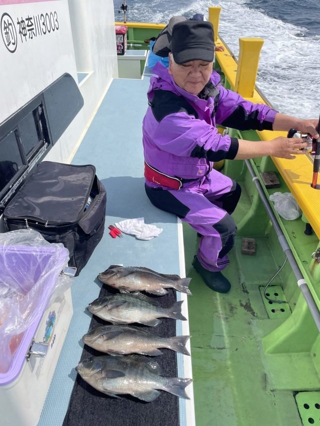 メジナ・イサキ