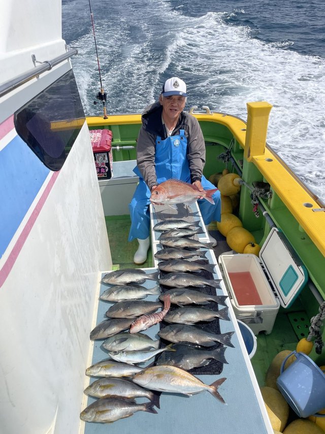 マダイ・クロダイ・メジナ・イサキ