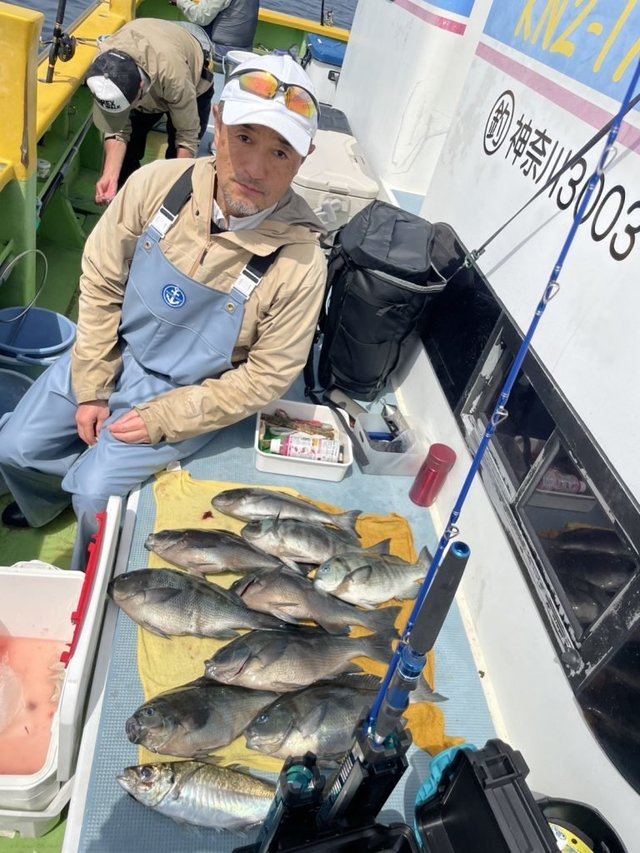 メジナ・アジ(マアジ)