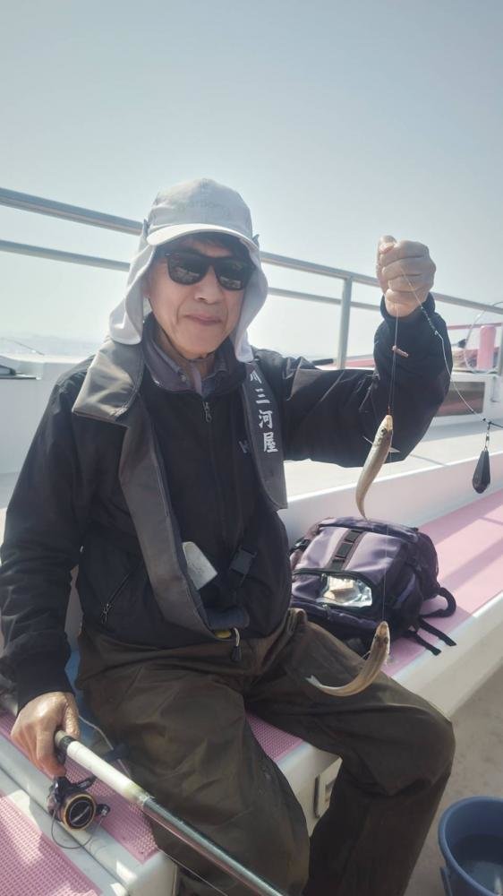 キス(シロギス)