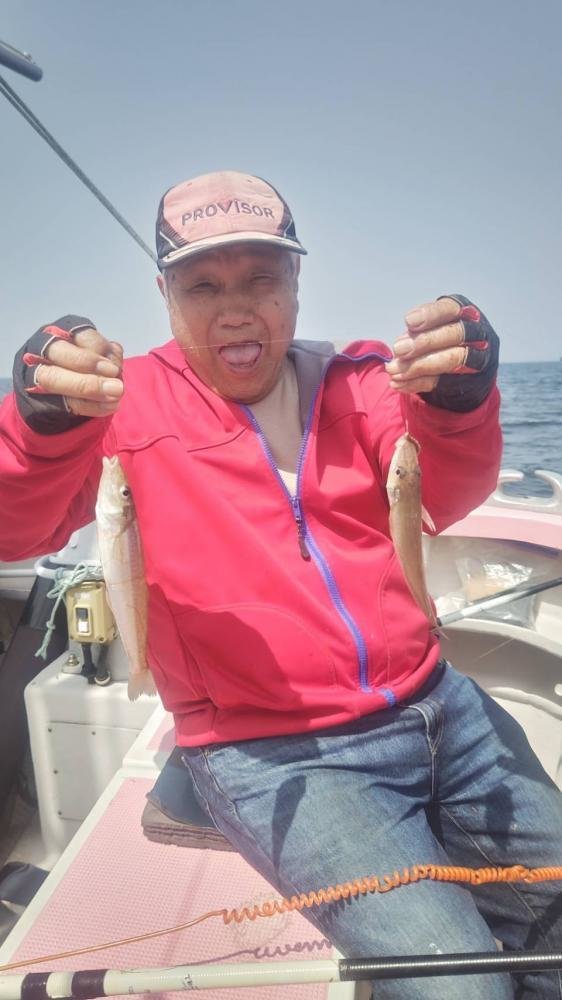 キス(シロギス)