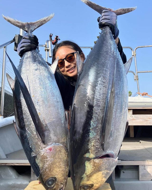 ビンチョウマグロ(ビンナガ)