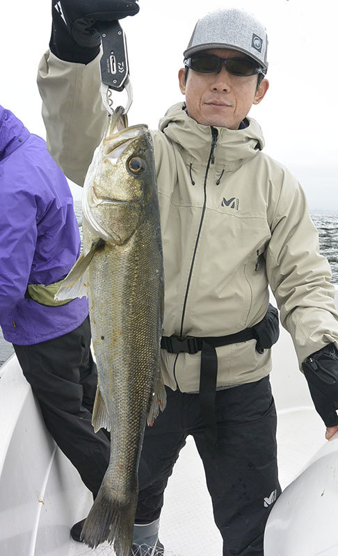 シーバス(スズキ)