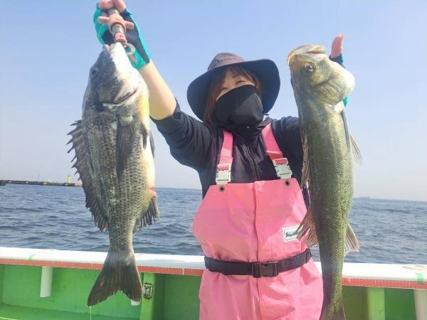 クロダイ・シーバス(スズキ)