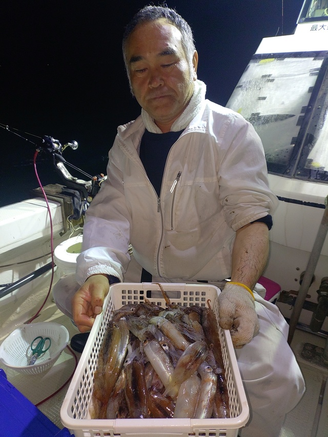 ムギイカ(スルメイカ)