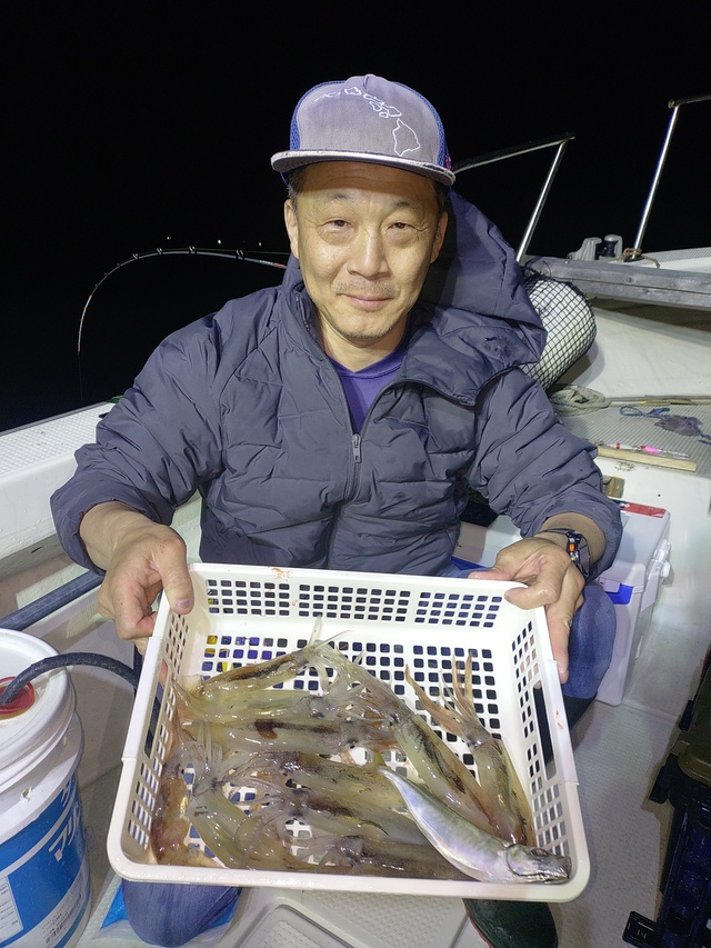 ムギイカ(スルメイカ)