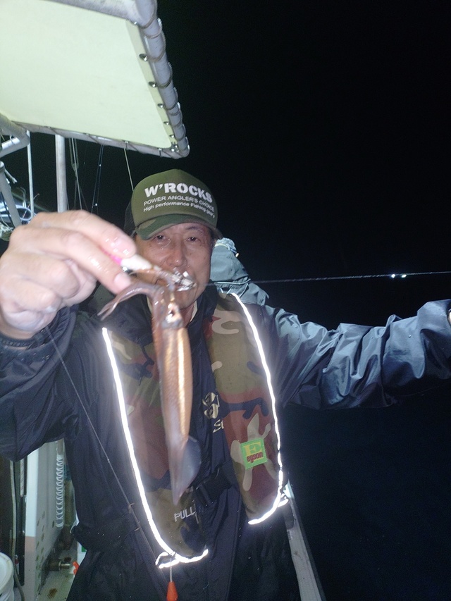 ムギイカ(スルメイカ)