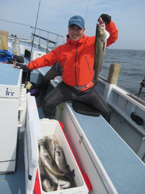 シーバス(スズキ)