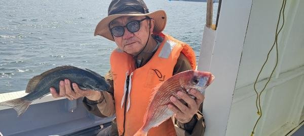 マダイ・クロダイ