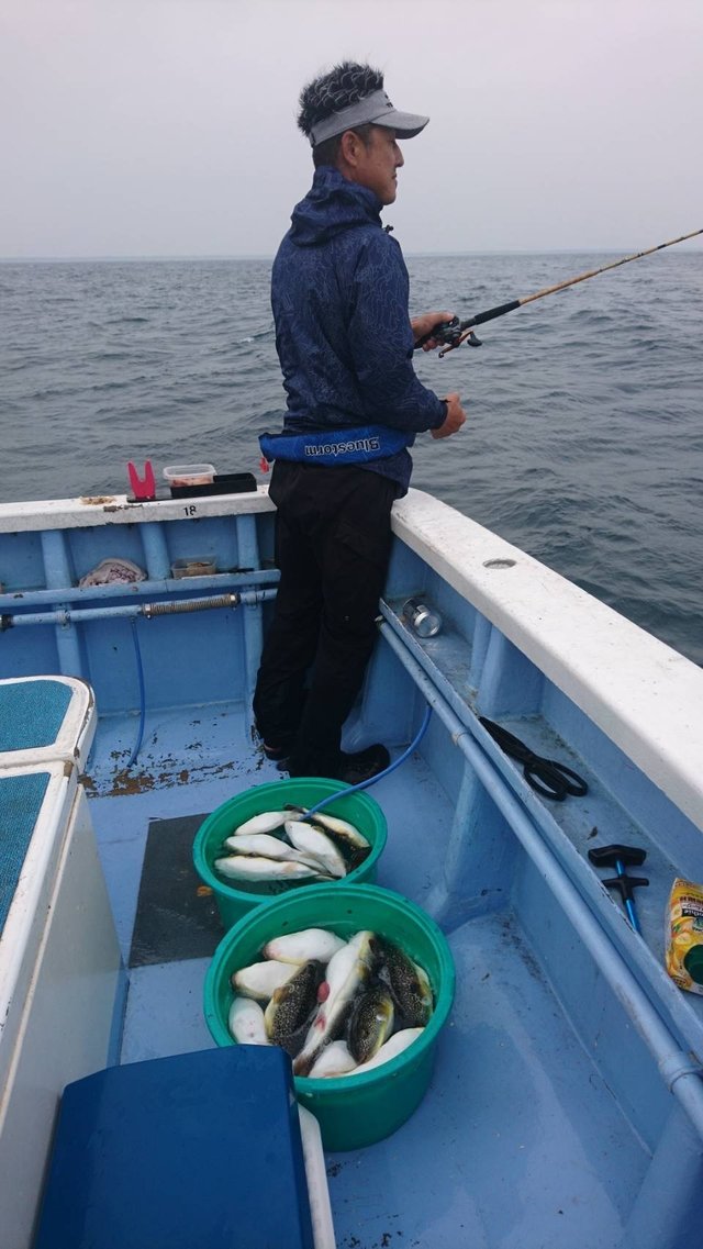 ショウサイフグ