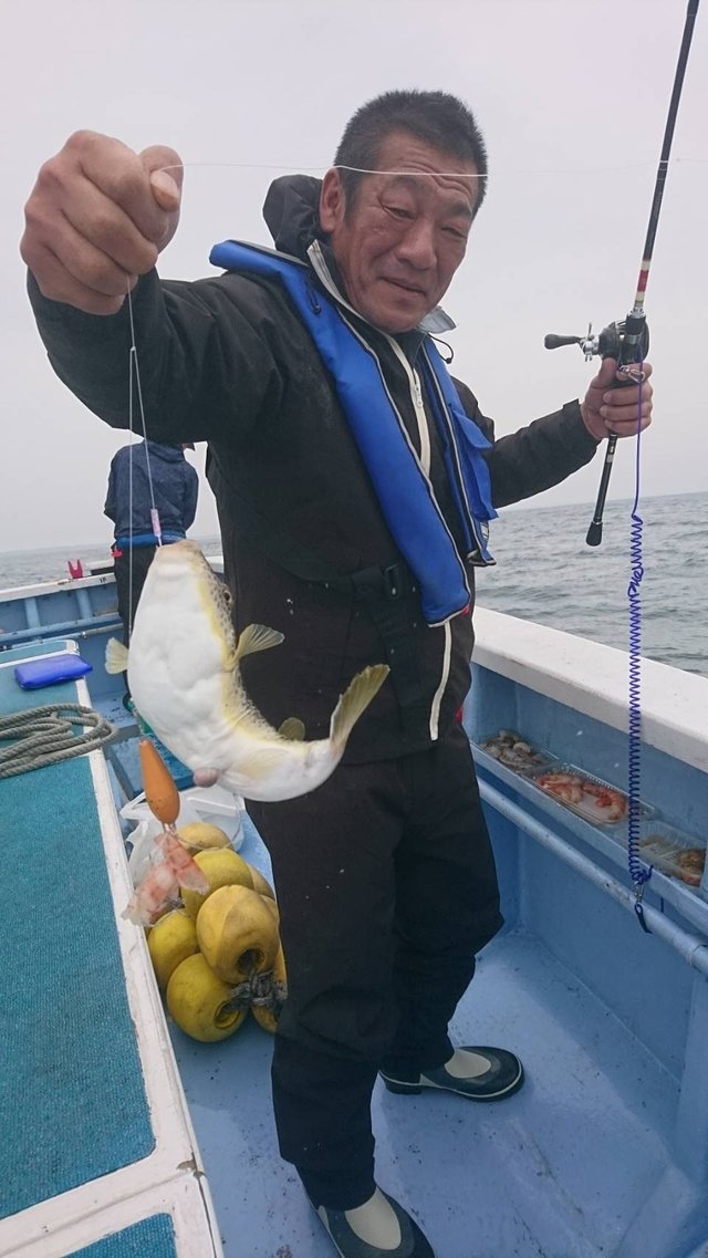 ショウサイフグ