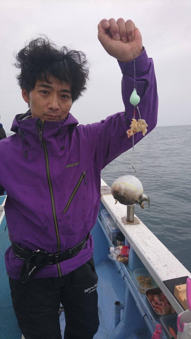 ショウサイフグ