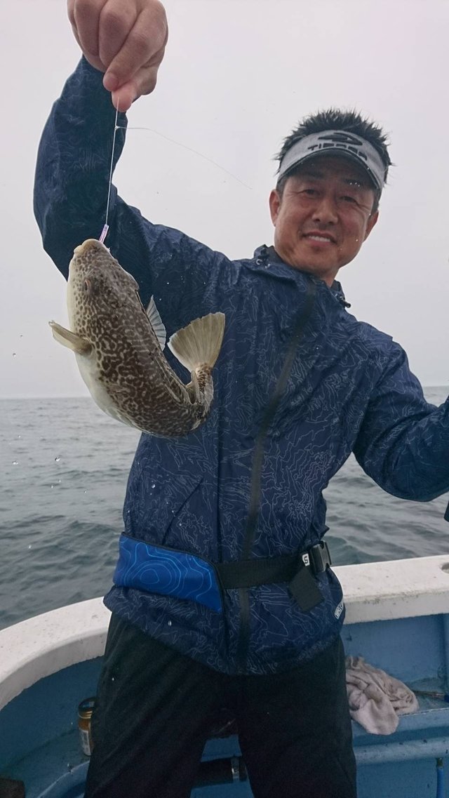 ショウサイフグ