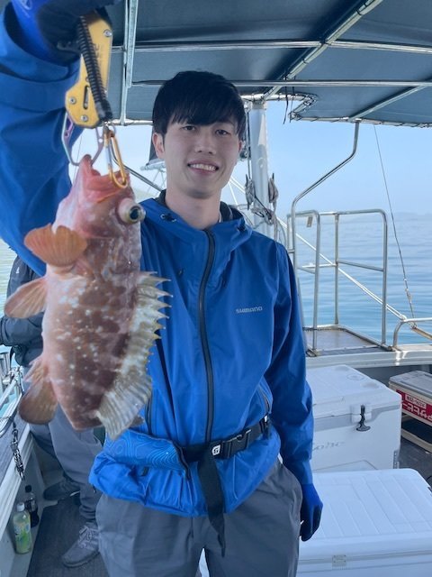 アコウ(キジハタ)