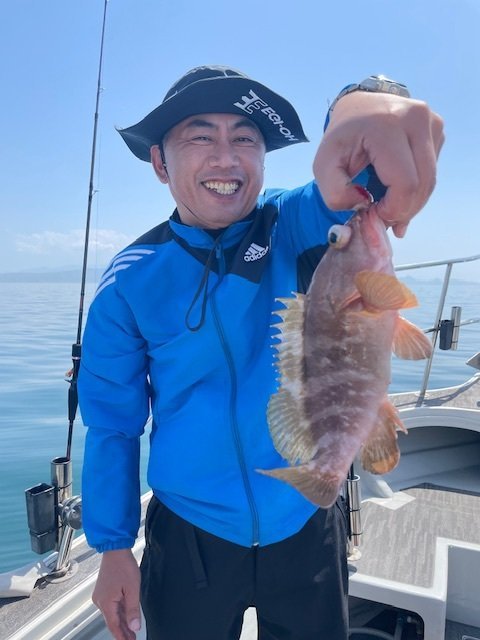 アコウ(キジハタ)