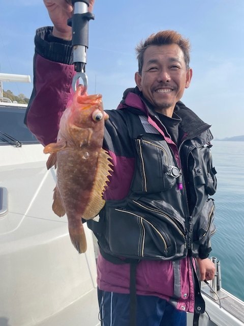 アコウ(キジハタ)