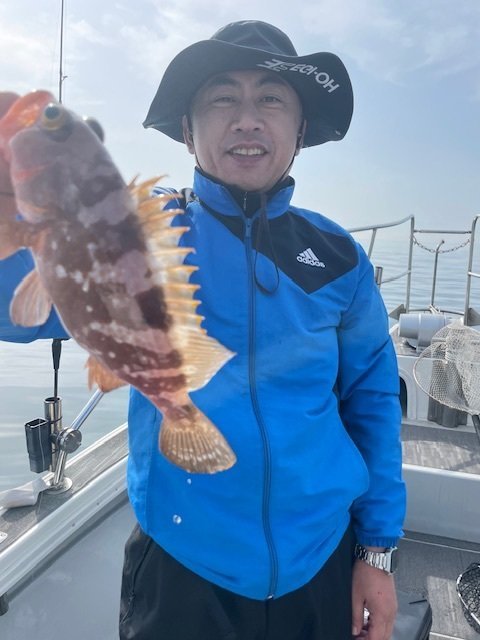 アコウ(キジハタ)