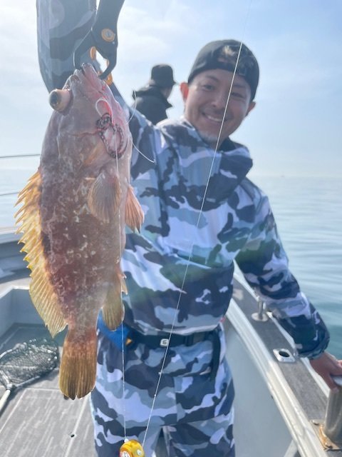 アコウ(キジハタ)