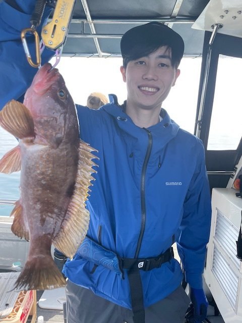 アコウ(キジハタ)